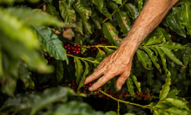 Neden ortalama yaşam süresi artarken maksimum yaşam süresi artmıyor?