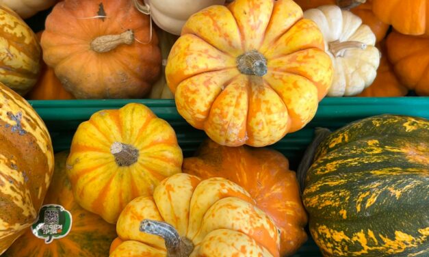 1 rubai 4 farklı çeviri