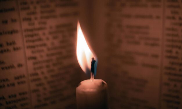 Çalışmanın sınırı