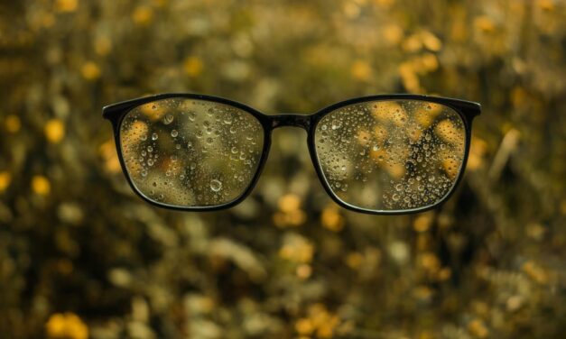 Filozofun bahsettiği 4 put