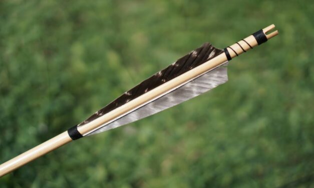 Yaratılış ve diğer ihtimaller