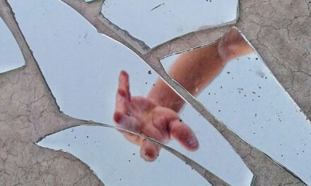 Metafor, alegori ve analoji