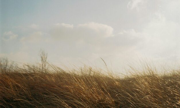 Kuzey ve güney rüzgarları